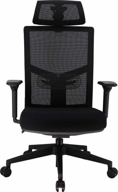 Эргономичное кресло Everprof Fuji (Фуджи) Сетка Черный