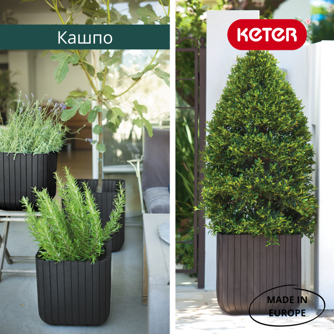 Кашпо Куб S (Keter cube planter S) коричневый Кашпо Куб S (Keter cube planter S) коричневый