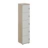 SG.818.OD.SH / Локер 5 ячеек 400х400х1866 / корпус: дуб темный; фасады: серый бархат
