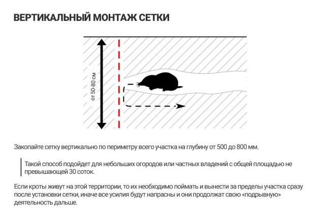 Сетка пластиковая от кротов Black Mole 2х50 м (100 кв.м.) Сетка пластиковая от кротов Black Mole 2х50 м (100 кв.м.)