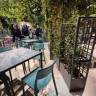 Стул пластиковый Cassia Bistrot майя 495х505х815 мм